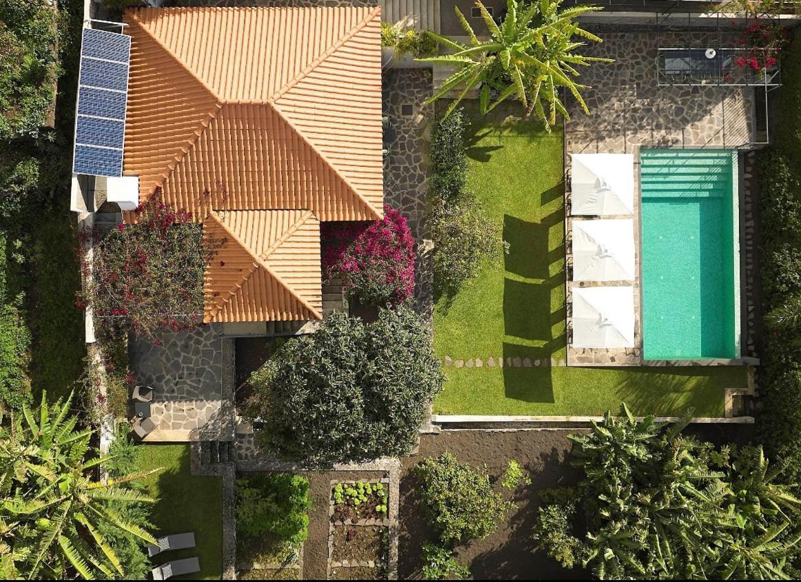 Bordal Houses 丰沙尔 外观 照片