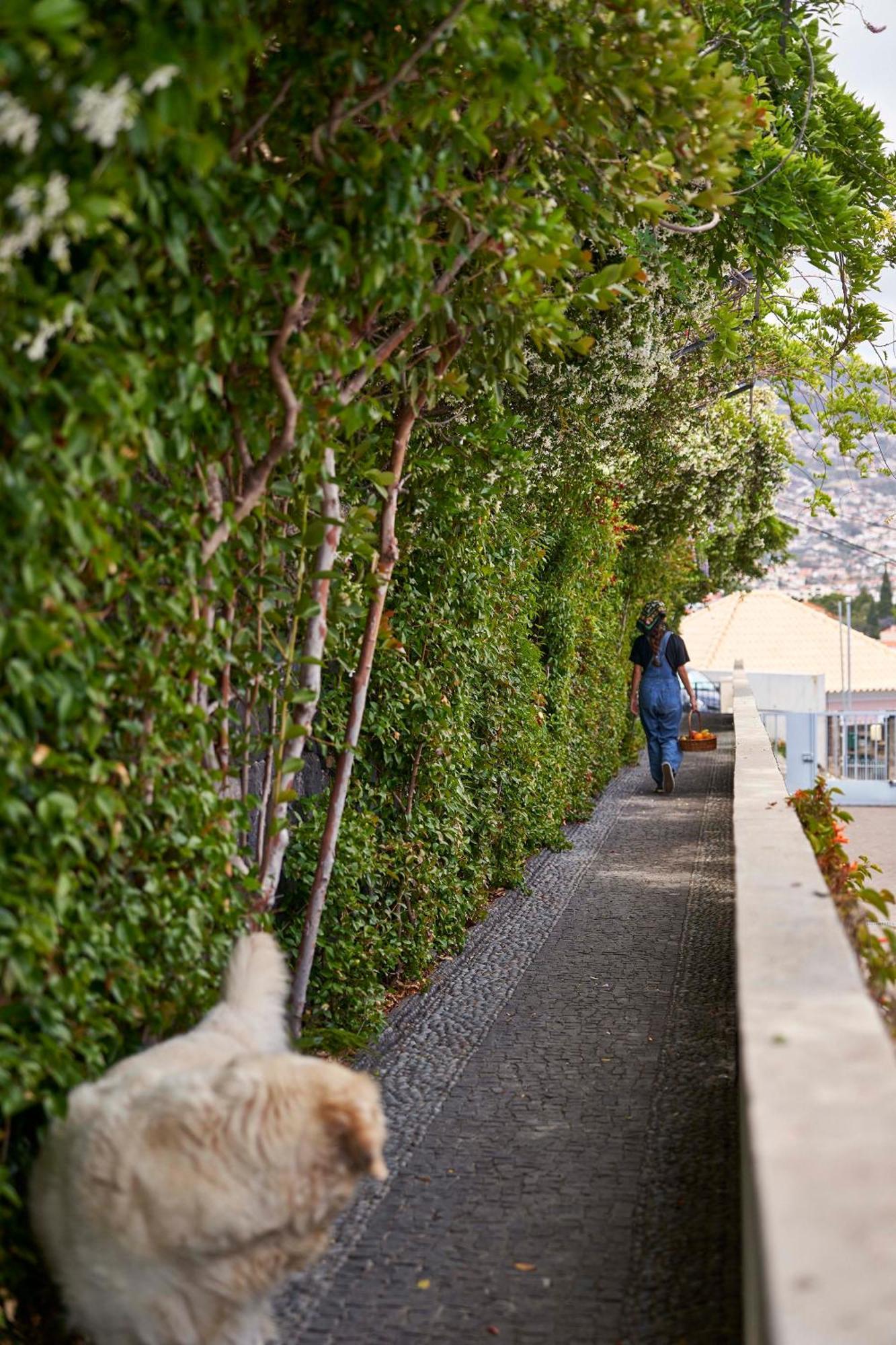 Bordal Houses 丰沙尔 外观 照片